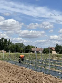 Instalaciones del proyecto Agroturismo Sostenible financiado por el MITECO 9