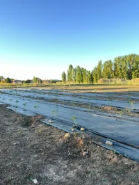 Instalaciones del proyecto Agroturismo Sostenible financiado por el MITECO 24