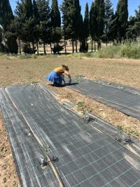 Instalaciones del proyecto Agroturismo Sostenible financiado por el MITECO 10