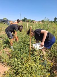 Maxima Crespo de las Heras Agroturismo Sostenible 17